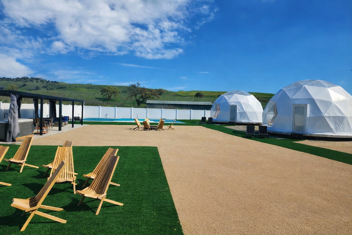 Lounge chairs on the lawn facing the geodesic domes